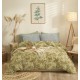 Σεντόνια Υπέρδιπλα Σετ Marta Nala Sage Polycotton Cokitex (230x260) 4Τεμ