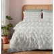 Σεντόνια Φανελένια Μονά Σετ Winter Pleasure Nova Sage Cotton Cokitex (170x270) 3Τεμ Σεντόνια Φανελένια Μονά Σετ Winter Pleasure Nova Sage Cotton Cokitex (170x270) 3Τεμ