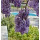 Ριχτάρι Διθέσιου Voyage Shore Sugar Cokitex (180x250) 1Τεμ Ριχτάρι Διθέσιου Voyage Shore Sugar Cokitex (180x250) 1Τεμ