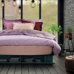 Πανωσέντονο Μονό Best Line Colours 1009 Lilac Cotton Das Home (170x260) 1Τεμ