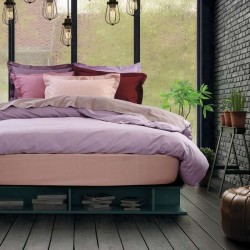 Πανωσέντονο Μονό Best Line Colours 1012 Pink Cotton Das Home (170x260) 1Τεμ