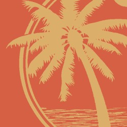 Πετσέτα Θαλάσσης Velour 223 Jacquard Cotton Dimcol (87x165) 1Τεμ