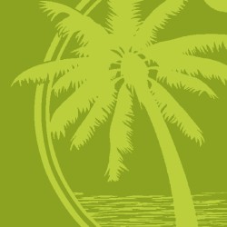 Πετσέτα Θαλάσσης Velour 224 Jacquard Cotton Dimcol (87x165) 1Τεμ