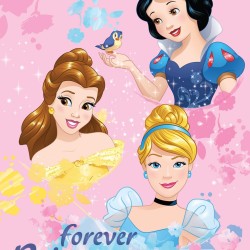 Κουβέρτα Fleece Κούνιας Disney Princess 045 Digital Print Dimcol (130x170) 1Τεμ
