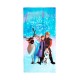 Πετσέτα Θαλάσσης Παιδική Disney Home Frozen 551 Blue Quick Dry Micro Dimcol (70x140) 1Τεμ