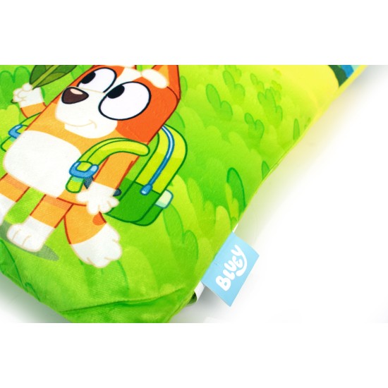 Διακοσμητικό Μαξιλάρι Παιδικό Βελούδινο BBC Studios Bluey 09 Green 100% Velboa Dimcol (38x38) 1Τεμ