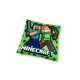 Διακοσμητικό Μαξιλάρι Παιδικό Mojang Minecraft 12 Light Green Velboa Dimcol (38x38) 1Τεμ