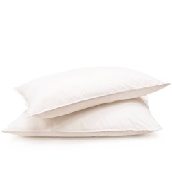 Μαξιλάρι Ύπνου Μαλακό Accessories Sueno Soft Kentia (50x70) 1Τεμ