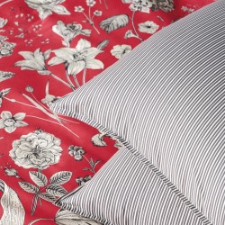 Μαξιλαροθήκες Σετ Stylish Alida 17A 210TC Satin Cotton Kentia (50x70+1) 2Τεμ