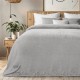 Κουβέρτα Fleece Υπέρδιπλη Lofti Ασημί Flannel Lino (220x240) 1Τεμ