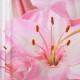 Κουρτίνα Μπάνιου Υφασμάτινη Shower Curtains Blossia Lino (180x200) 1Τεμ