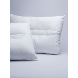 Μαξιλάρι Ύπνου Μέτριο Προς Σκληρό Anatomic Aloe Vera Cotton Palamaiki (50x70) 1Τεμ