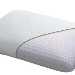Μαξιλάρι Ύπνου Μέτριο Memory Aloe Vera Anatomic Palamaiki (50x70) 1Τεμ