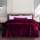 Κουβέρτα Βελουτέ Υπέρδιπλη Essential Blanket 3438 Velour Polo Club (220x240) 1Τεμ
