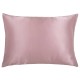 Μαξιλαροθήκη Μεταξωτή Silk 2381 Polo Club (50x70) 1Τεμ
