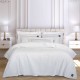 Μαξιλαροθήκες Σετ Essential Bedcover 3494 Dots Microsatin Polo Club (50x70+5) 2Τεμ