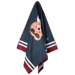Πετσέτα Θαλάσσης Παιδική Essential Micro 4042 Junior Prints Polo Club (70x140) 1Τεμ