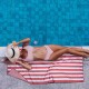 Πετσέτα Θαλάσσης Essential 5222 Micro Polo Club (80x170) 1Τεμ
