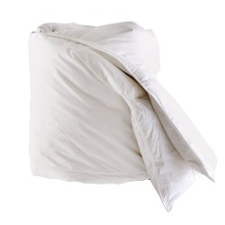 Πάπλωμα Πουπουλένιο Μονό Duvet Basics 02 80% Πούπουλο 20% Φτερό Rythmos (160x240) 1Τεμ Πάπλωμα Πουπουλένιο Μονό Duvet Basics 02 80% Πούπουλο 20% Φτερό Rythmos (160x240) 1Τεμ