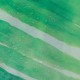 Κουρτίνα Μπάνιου Vinyl Shower Curtains Leaves Green Sealskin (180x200) 1Τεμ