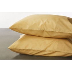 Σεντόνια Υπέρδιπλα Σετ BA100-2 Mustard Cotton White Egg (180x200+30 ) Με Λάστιχο 4Τεμ Σεντόνια Υπέρδιπλα Σετ BA100-2 Mustard Cotton White Egg (180x200+30 ) Με Λάστιχο 4Τεμ