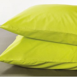 Σεντόνια Υπέρδιπλα Σετ BA100-4 Lime Cotton White Egg (180x200+30 ) Με Λάστιχο 4Τεμ