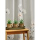 Κουρτίνα Με Τρουκς K0155-5 White Egg (270Πx280Υ) 1Τεμ